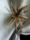 Lace tie back poupoule